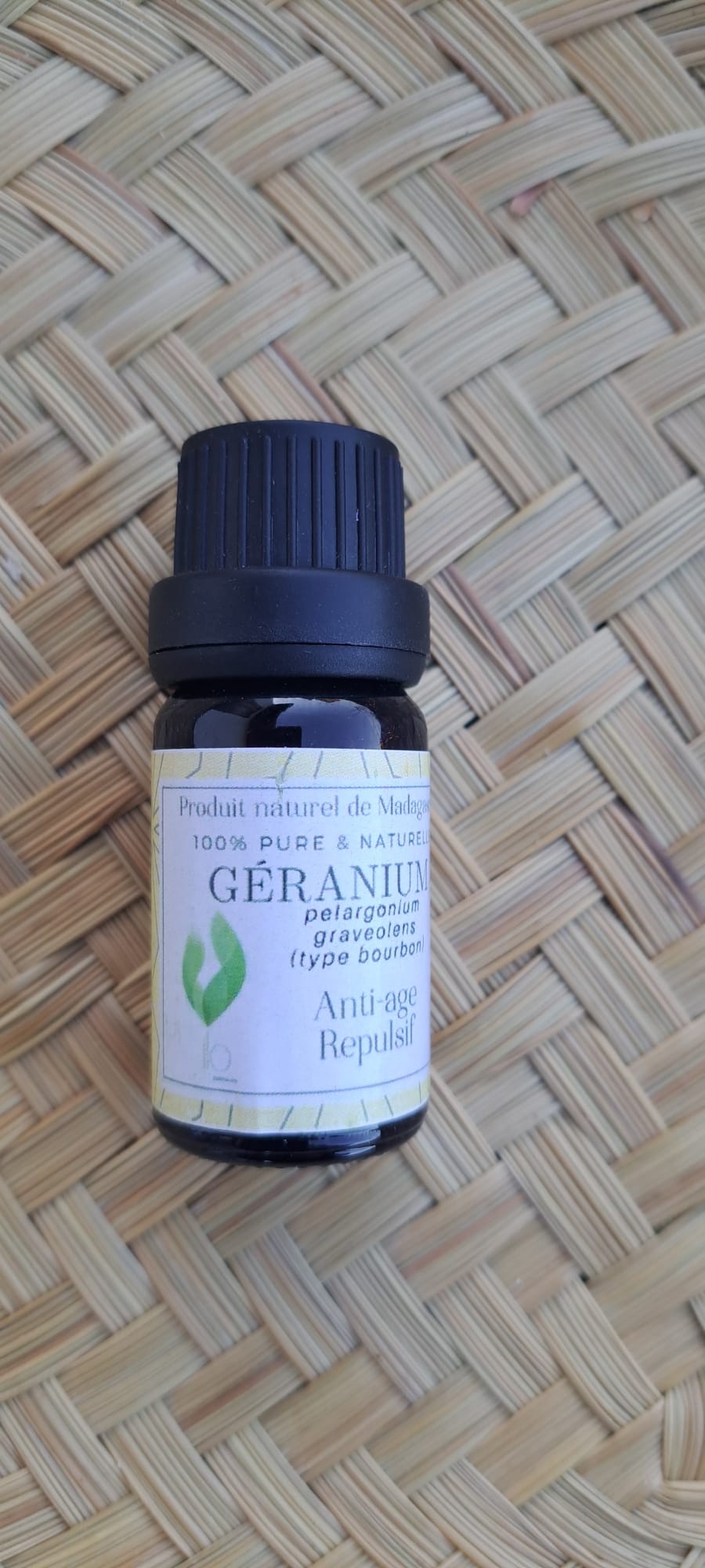 Géranium Bourbon